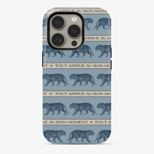 iPhone 16 Series